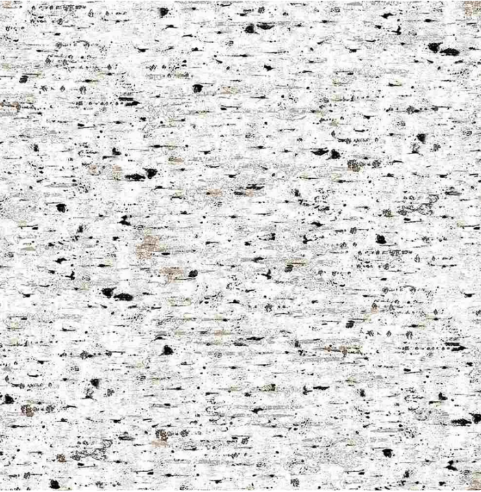 Winter - Birch Tree Bark CD1646 Natural by Timeless Treasures