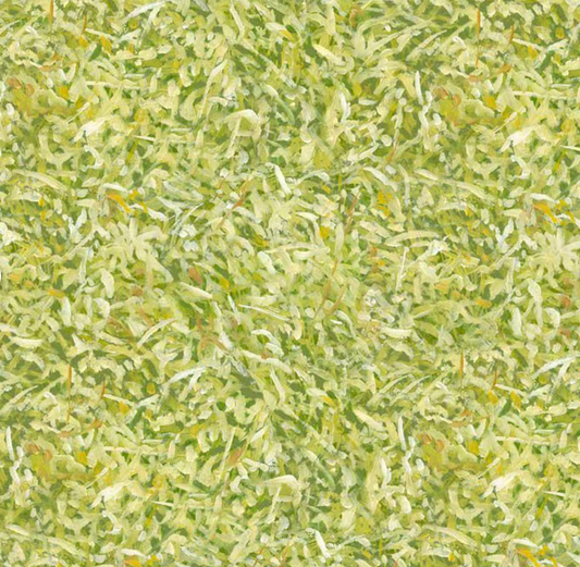 On Safari - Grass Texture-Light Green 05477 by P&B Textiles