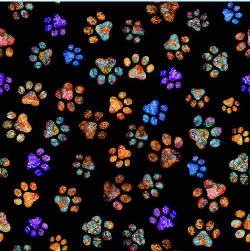 Feline Fantasia - Black Paw Prints 2600-31372-Q by QT Fabrics