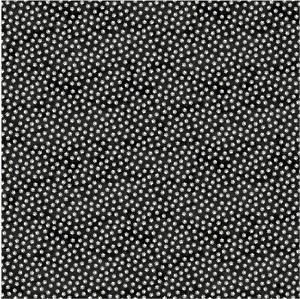 Hide and Seek - Black/White Cat Paws by Northcott
