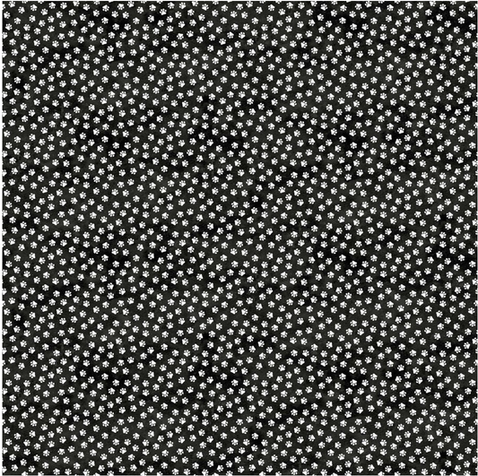 Hide and Seek - Black/White Cat Paws by Northcott