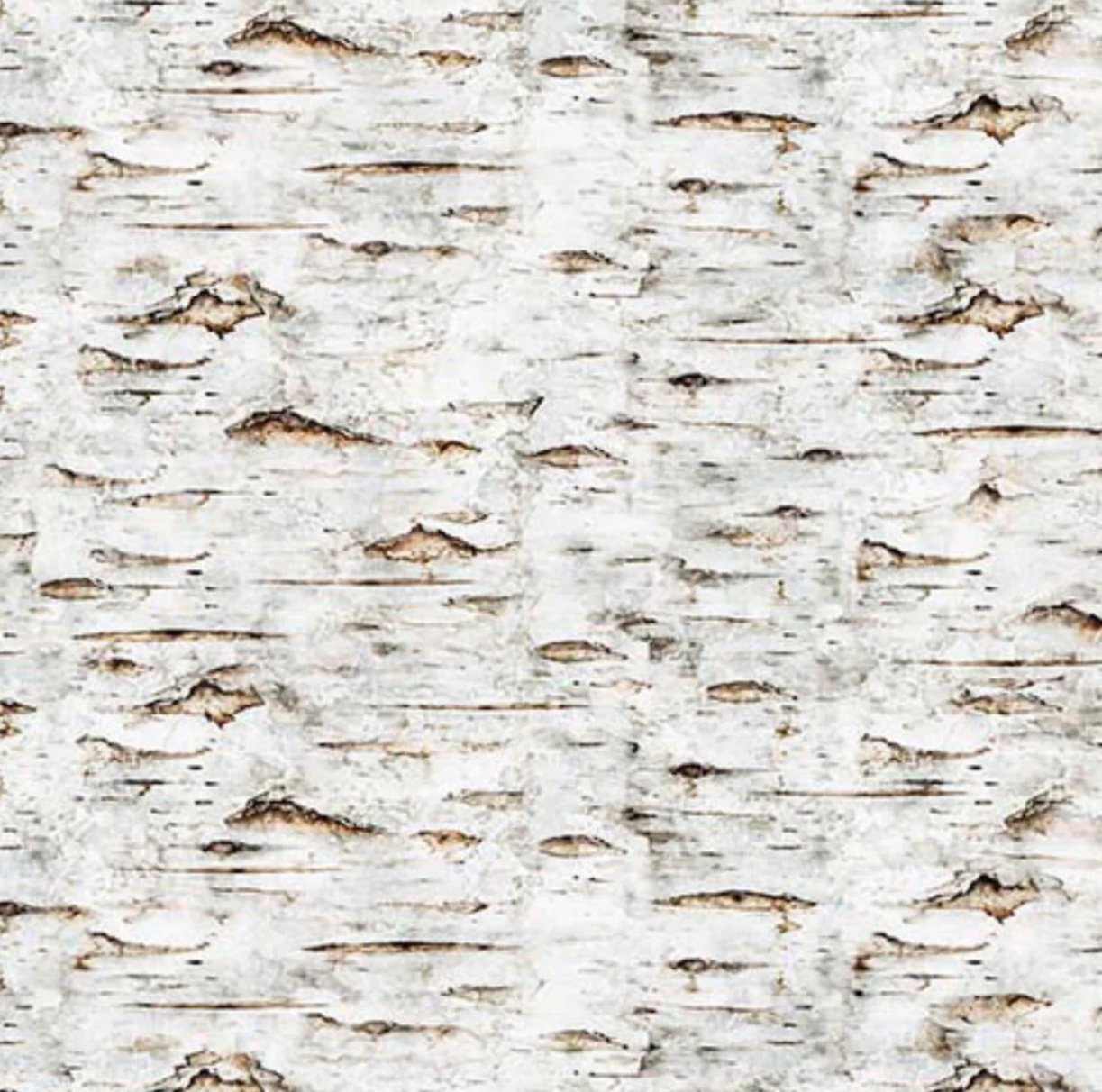 Earthly Delights - Birch Bark 2600-31330-E by QT Fabrics
