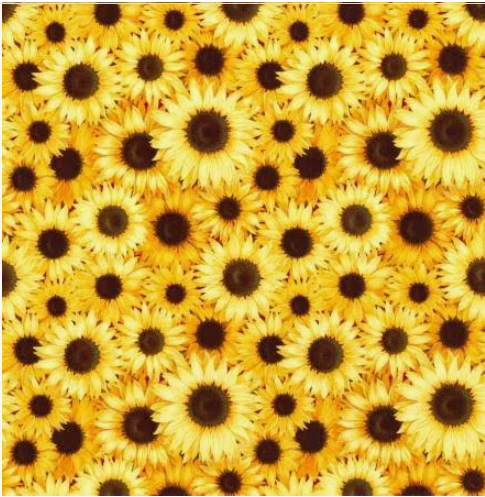 Packed Sunflowers - 18660688 by Fabric Traditions