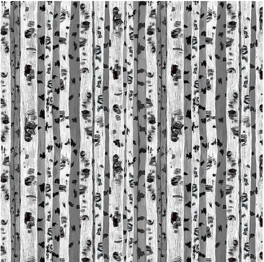 Painted Birch Trees - Nature CD3727 by Timeless Treasures