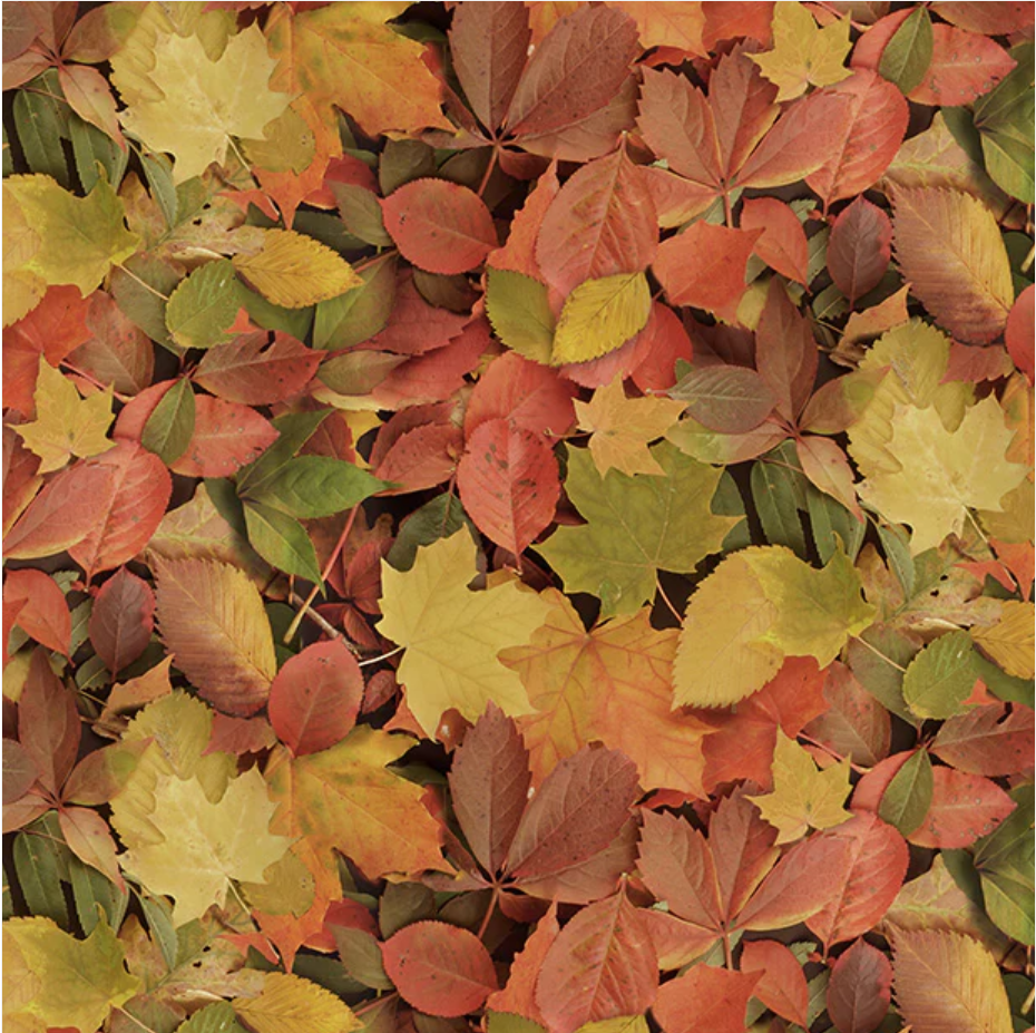 Landscapes - Autumn Splendor 52112D-X by Windham Fabrics