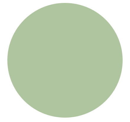 Superior Solids Basic - Sagebrush 3000B-3E by Benartex