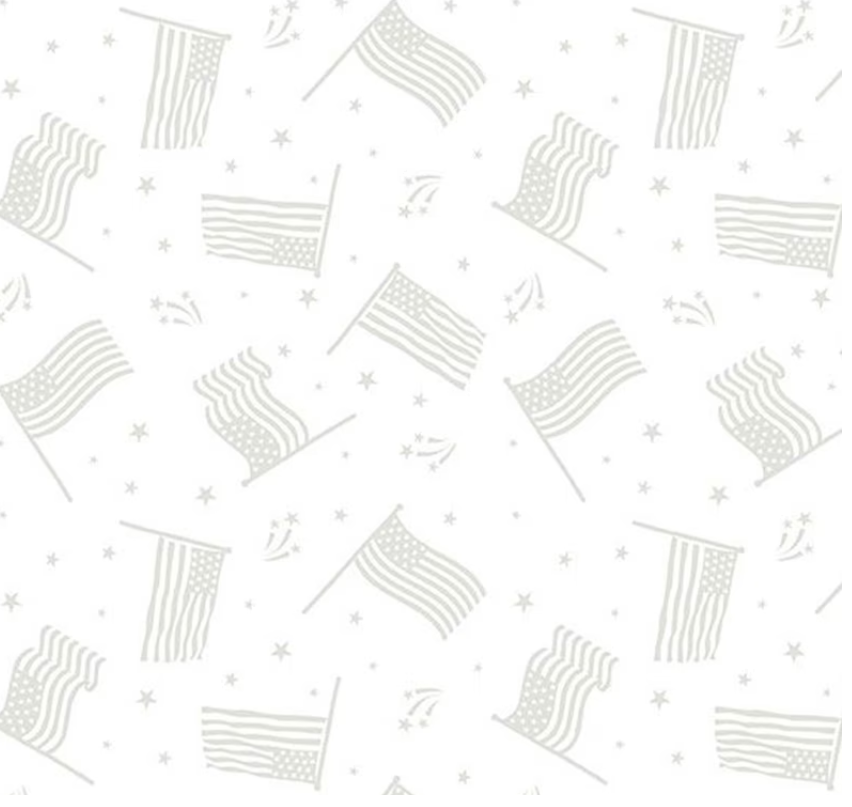 Strength & Honor - Flags White on White 39207-100 by Wilmington Prints