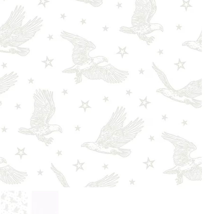 Strength & Honor - Eagles White on White 39206-100 by Wilmington Prints