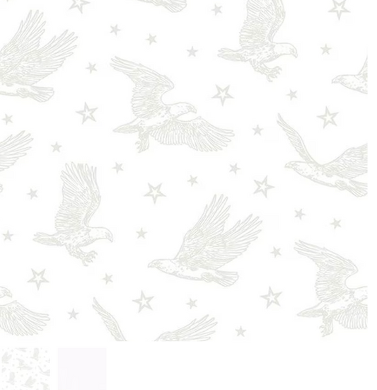 Strength & Honor - Eagles White on White 39206-100 by Wilmington Prints