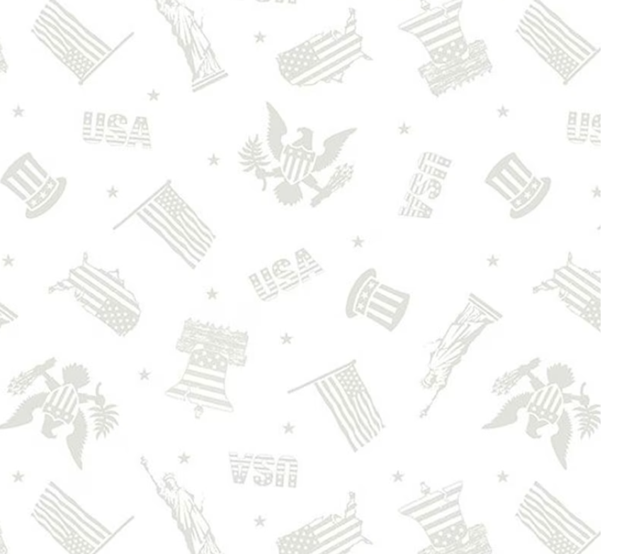 Strength & Honor - Patriotic Toss White on White 39204-100 by Wilmington Prints