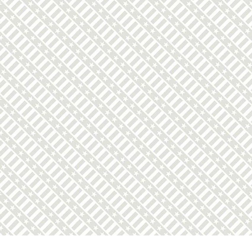 Strength & Honor - Stars & Stripes White on White 39213-100 by Wilmington Prints