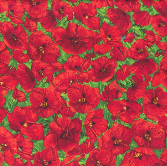 Painted Poppies -  CD3722 by Timeless Treasures