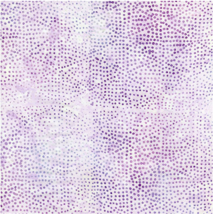 Tonga Batiks - Wish Water Color Dots Thistle B2705 by Timeless Treasures
