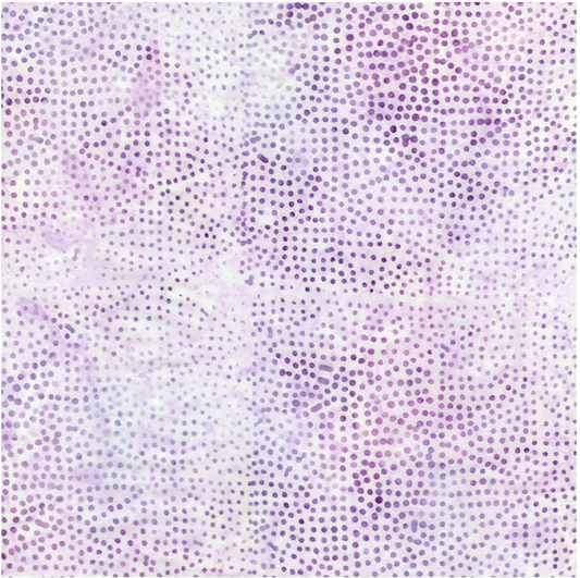 Tonga Batiks - Wish Water Color Dots Thistle B2705 by Timeless Treasures