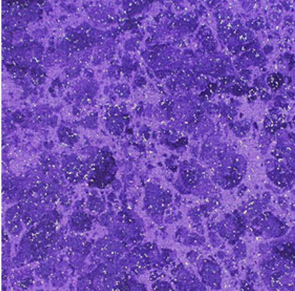 Mirage with Silver Glitter Purple 1558980 by Fabric Traditions
