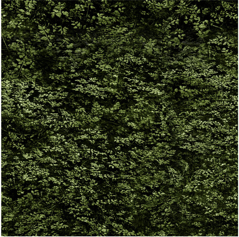 Nature Study - Foliage Dark Olive Y4858-25 by Clothworks