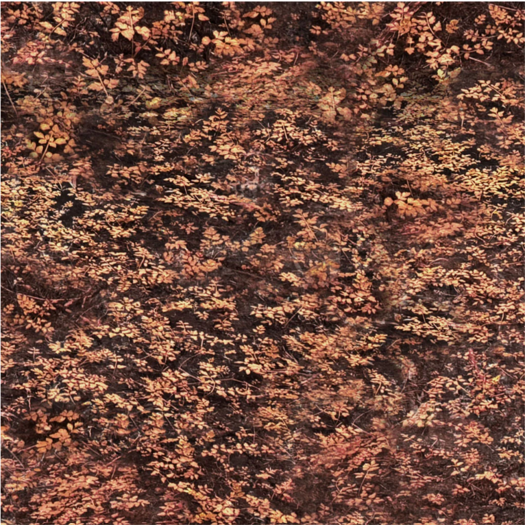 Nature Study - Foliage Dark Rust Y4858-72 by Clothworks