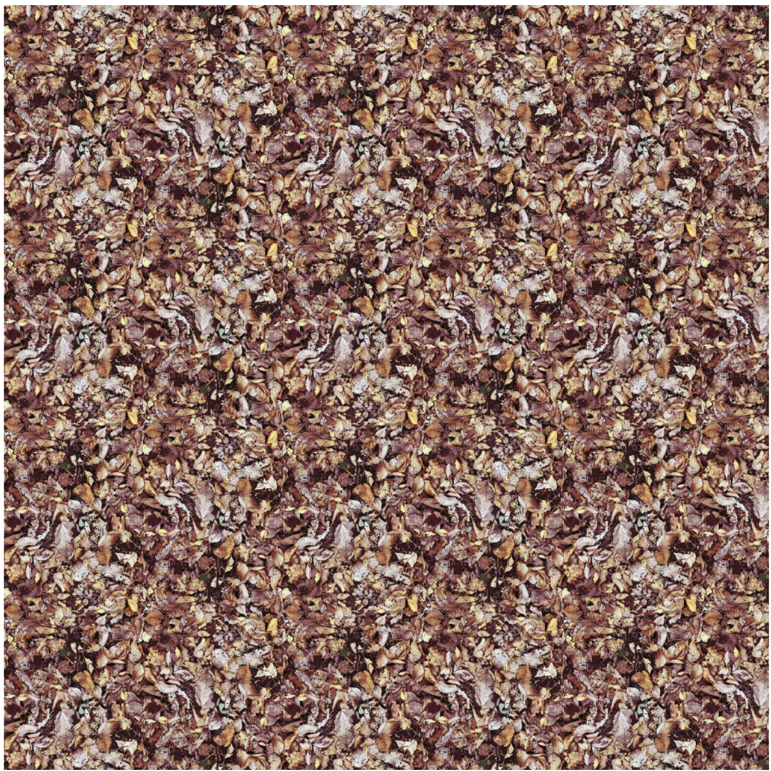 Nature Study - Leaves Light Brown Y4859-14 by Clothworks