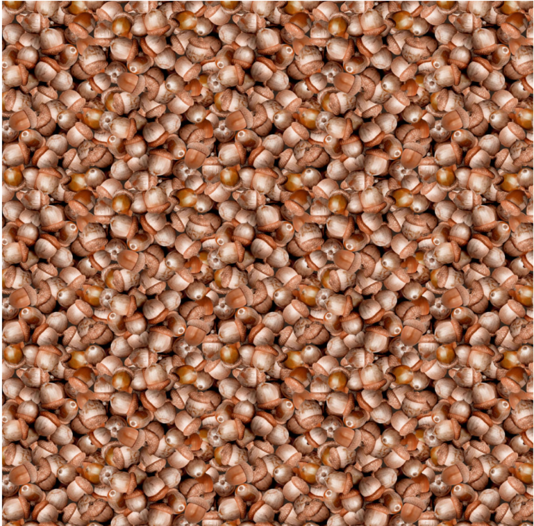 The Secret Life of Squirrels IV - Acorns Light Brown Y4902-14 by Clothworks