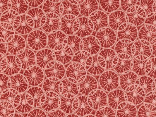 Secret Garden - Sweet Ride - Dark/Light Mauve by Oasis Fabrics