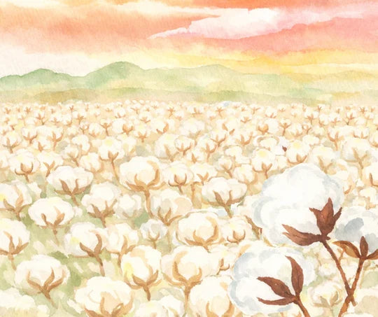 Nine Acres 80/20 Cotton Polyester Long-Staple Cotton Batting - King Size 120" x 120" Autumn Mid-Weight White