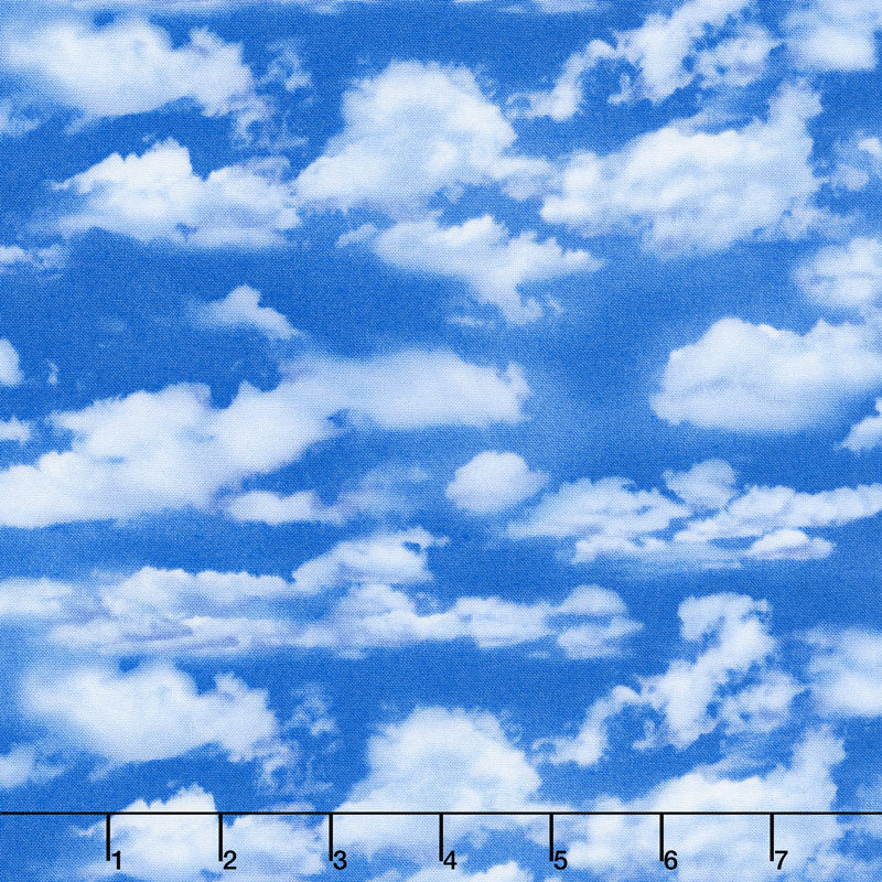 Landscape Medley - Blue Cloudy Sky for Elizabeth's Studio