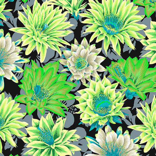 Kaffe Fassett - Cactus Flower - Contrast - Free Spirit