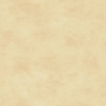 Shadow Play - Cream Tonal 513 E5 by Maywood Studio