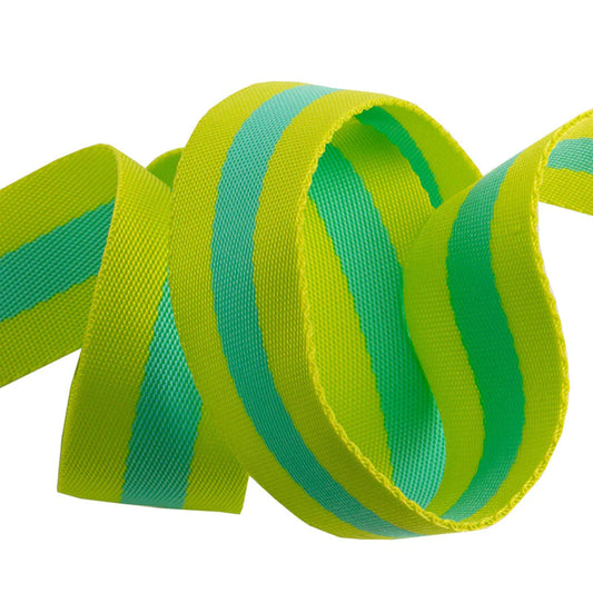 Tula Pink Webbing - Neon Green/Teal by Renaissance Ribbons