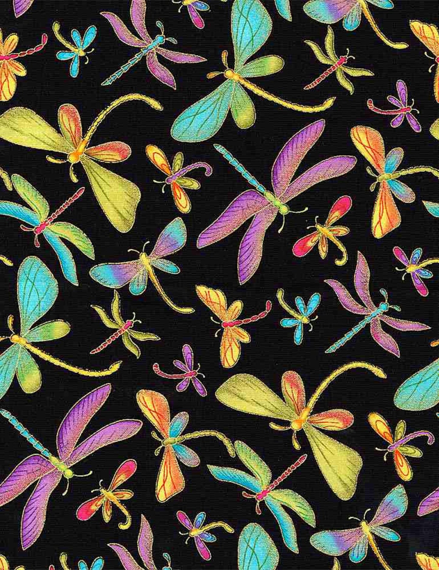 Colorful Dragonflies Metallic Trim-M1 Black by Timeless Treasures