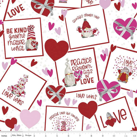 Gnomes in Love-Tossed Valentines White D11310 by Riley Blake