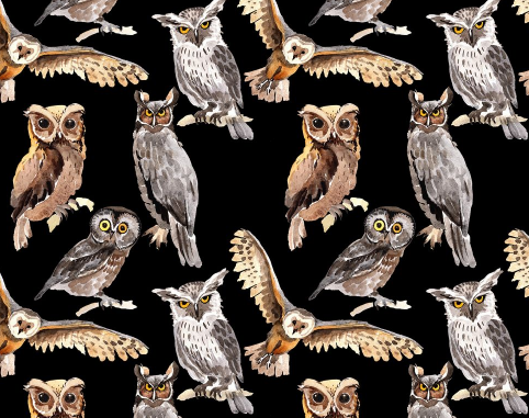 Tossed Owls Black by Marshall Dry Goods (MDG)
